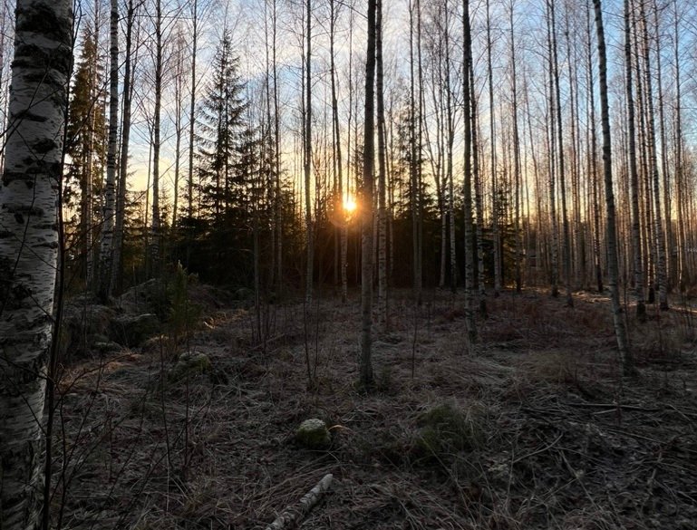 Yksinvaelluksen anatomia: Miten voittaa pelko ja välttää alokasmaiset virheet