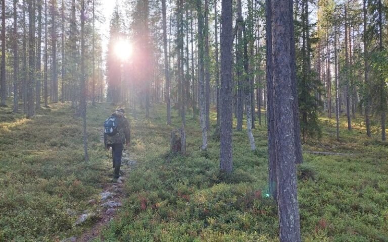Vaeltaja rinkka selässä metsäpolulla