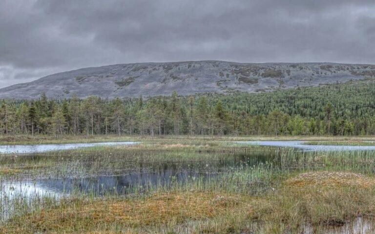 Aakenustunturi kesällä