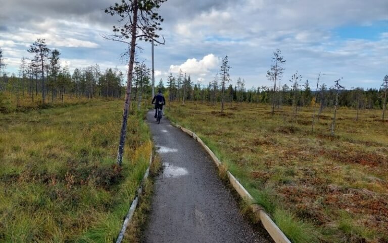 Retkipyöräily: näin suunnittelet onnistuneen pyöräretken