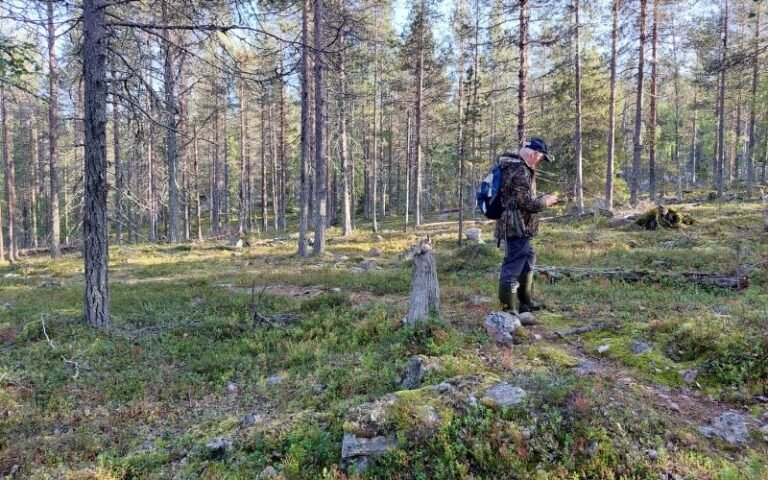 Retkeilijä metsässä Lapissa